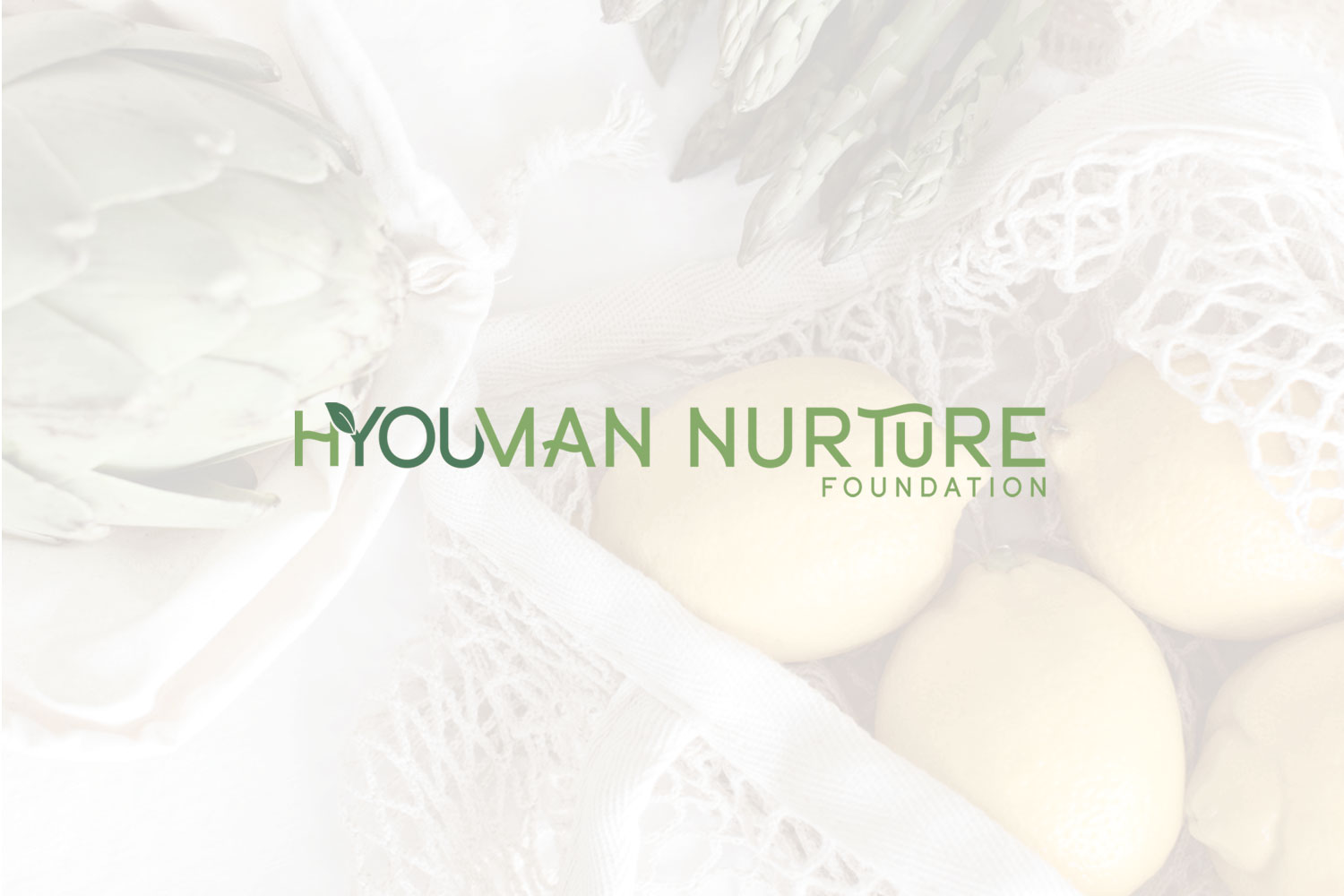 Hyouman_nurture_foundation_custom_brand_logo_design_by_franklin_lane_creative_agency_studio